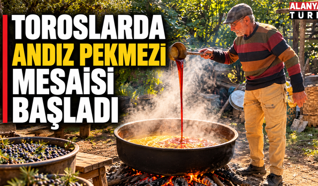 Toroslarda Andız Pekmezi sezonu başladı