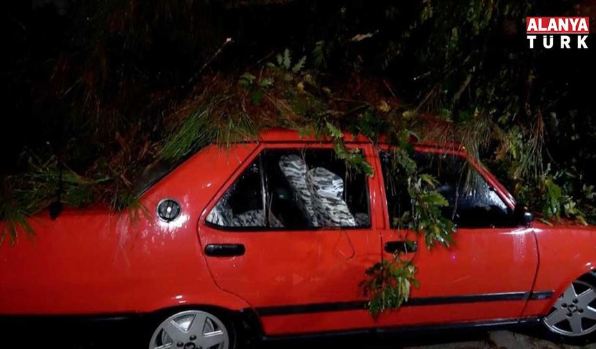 Yağmur ve şiddetli rüzgarda iki araç ve bina zarar gördü
