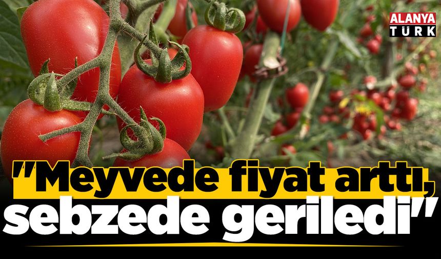 Aralık ayı hal endeksi açıklandı; 'Meyvede fiyat arttı, sebzede geriledi'