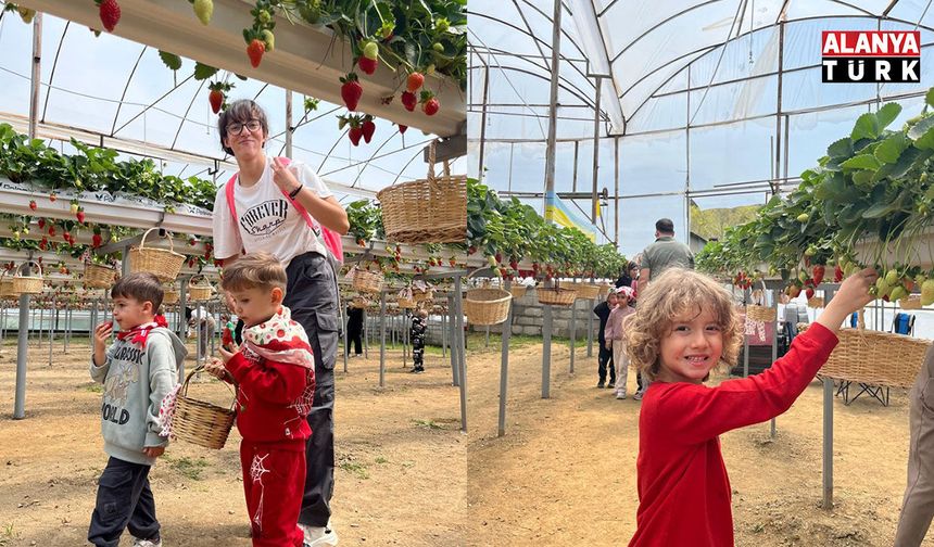 ALKÜ’lü Minikler Doğayla Buluştu: Fidan Dikip Çilek Topladılar