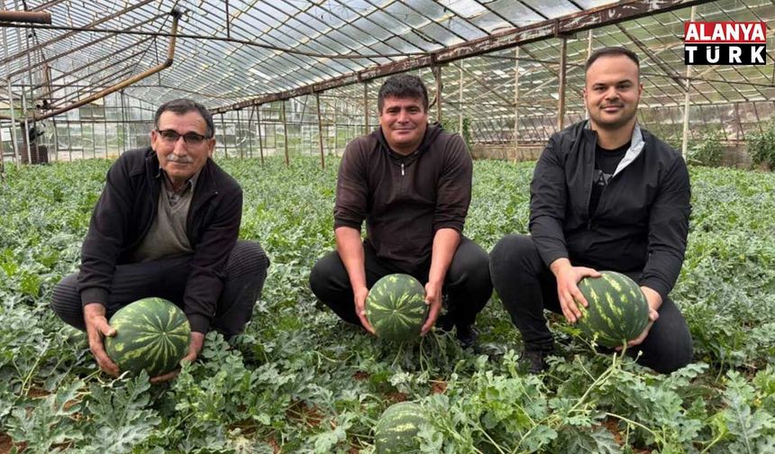 Kış karpuzu hasadı için geri sayım başladı