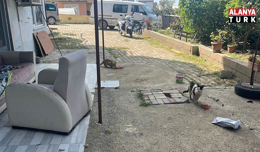 Kötü şartlarda evde tutulan hayvanlar, gençlerin tepkisi sonrası kurtarıldı