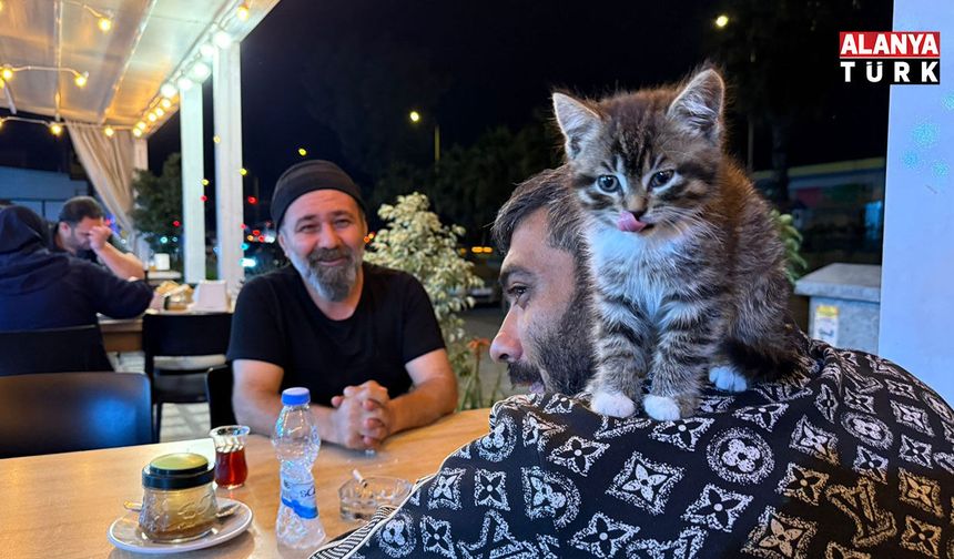 Madde bağımlılığından yavru kedi sayesinde kurtuldu