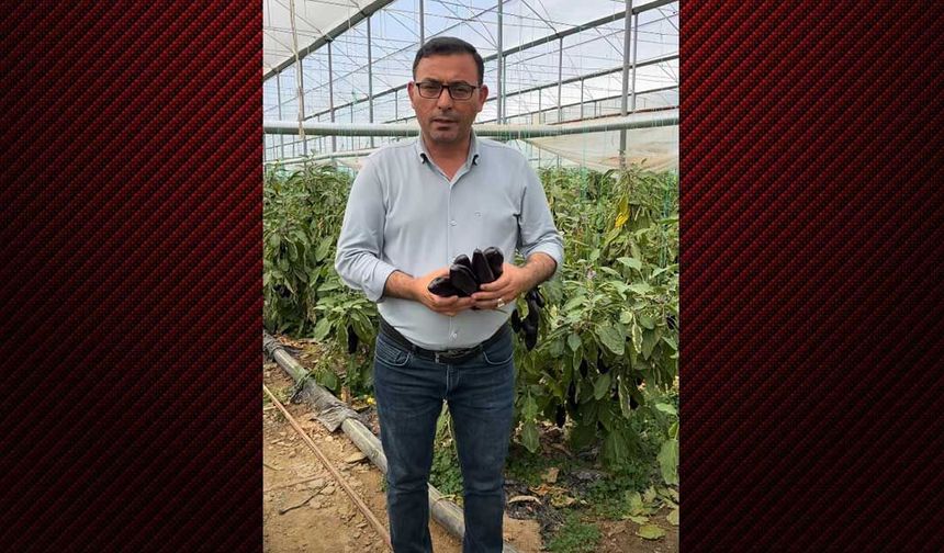 Tahir Göktepe’den patlıcan için ortak fiyat çağrısı