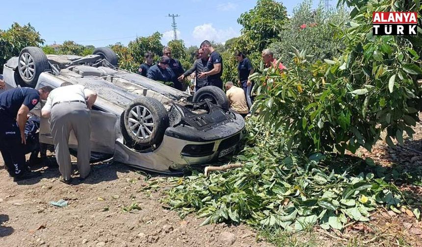 Viraj alamayan otomobil avokado bahçesine uçtu
