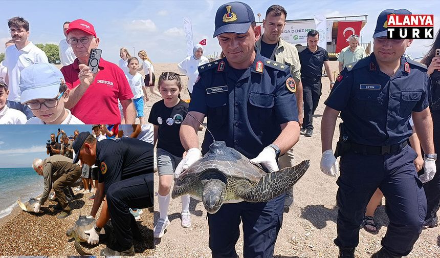 Uydu takip cihazı takılan 3 yeşil deniz kaplumbağası denize bırakıldı