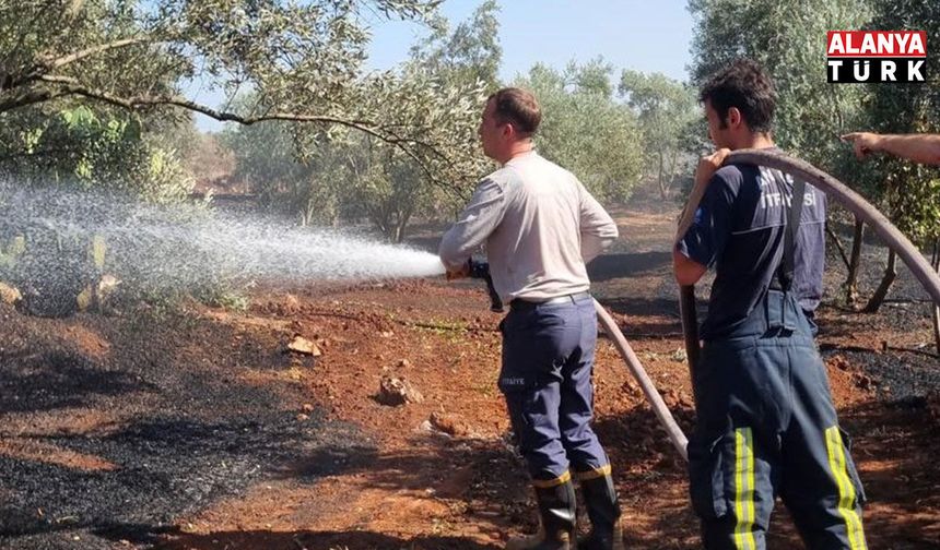 Büyükşehir itfaiyesi Antalya'nın dört bir yanında görev başında