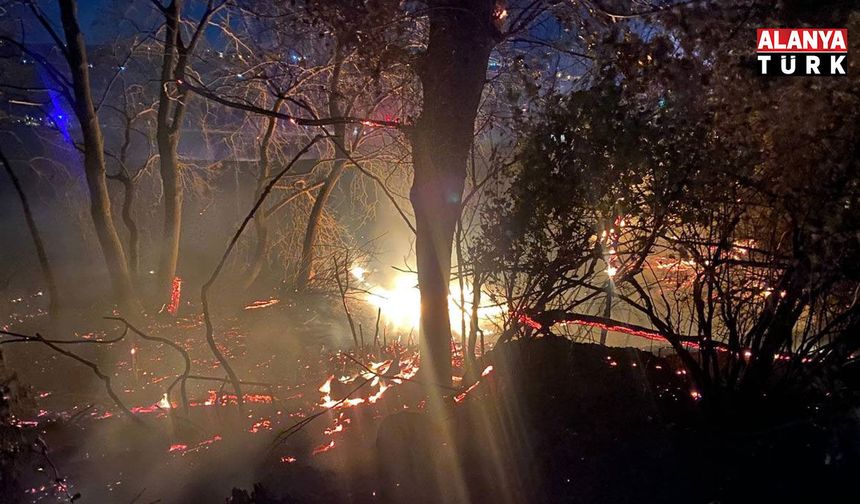 Antalya'da otluk alanda çıkan yangın sera ve mezarlığa sıçradı