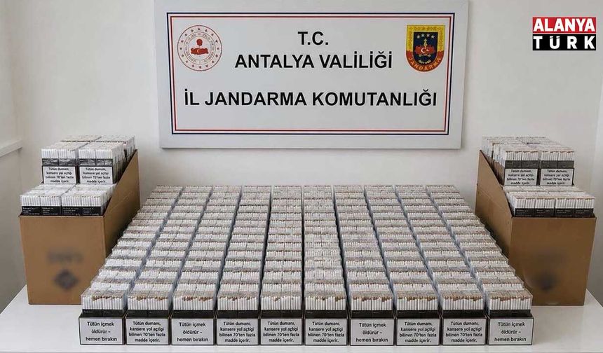 Alanya’da kaçak tütün operasyonu