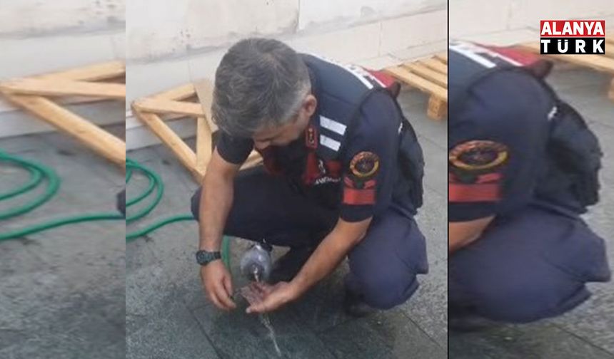 Alanya’da jandarmadan örnek davranış