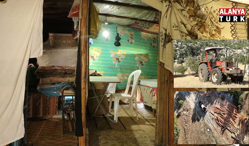 Ağaç keserek ve naylon çadırda ders çalışarak tıp fakültesini kazandı