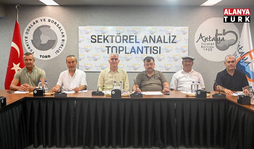Zeytinde rekolte beklentisi yüzde 40 arttı