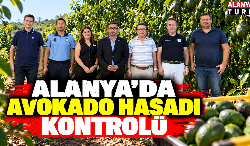 Alanya'da avokado hasadı kapsamında bilgilendirme yapıldı