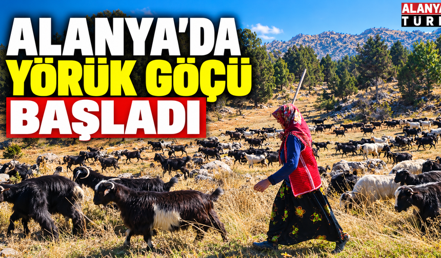 Bin Yıllık Gelenek! Alanya’da Yörük Göçü Başladı
