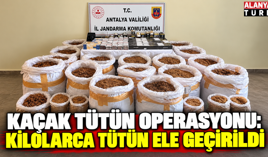 Antalya’da kaçak tütün operasyonu: Kilolarca tütün ele geçirildi