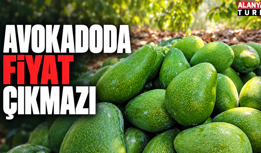 Avokadoda fiyat çıkmazı