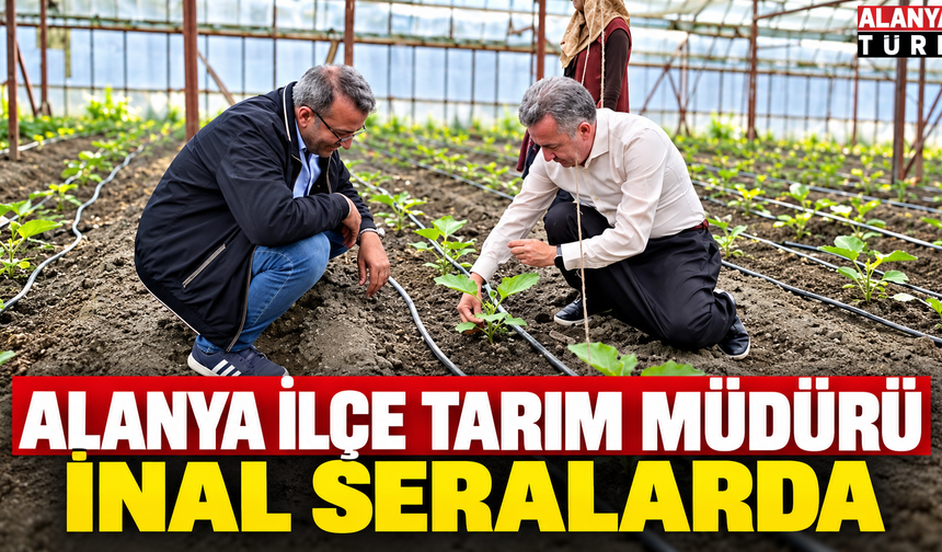 Alanya İlçe Tarım Müdürü İhsan İnal Alanya Şalvarıyla Serada!