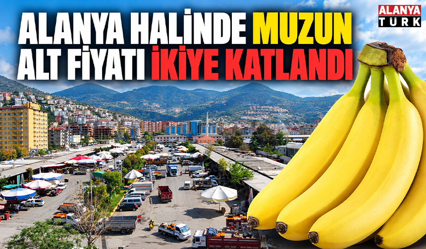 Alanya halinde muzun alt fiyatı ikiye katlandı