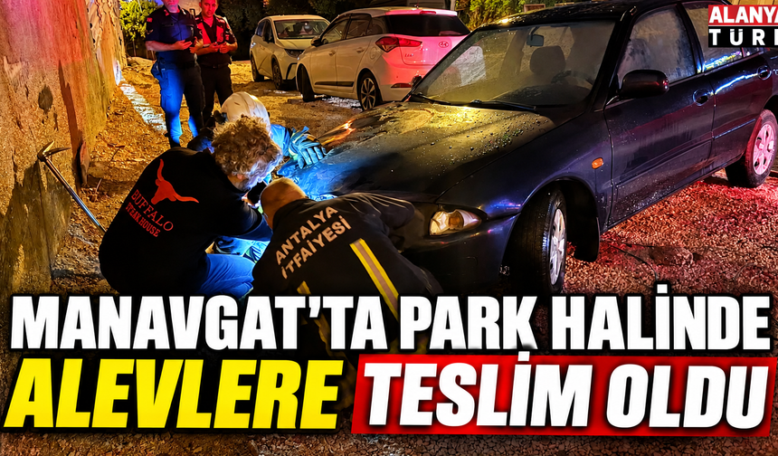 Manavgat'ta park halinde alevlere teslim oldu