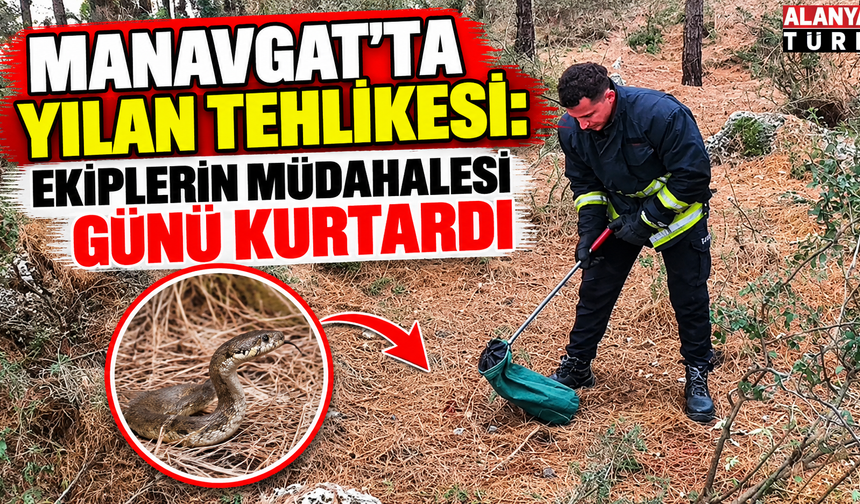 Manavgat'ta yılan tehlikesi: Ekiplerin müdahalesi günü kurtardı